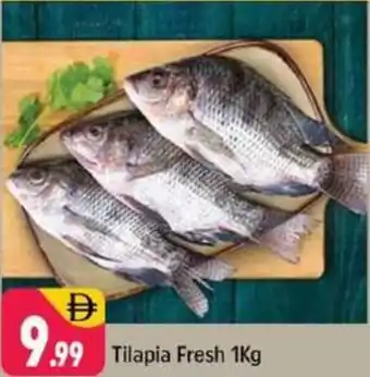 Shaklan Tilapia Fresh offer