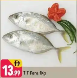 Shaklan TT Para offer