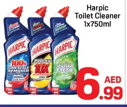 Day To Day HARPIC Toilet / Drain Cleaner offer