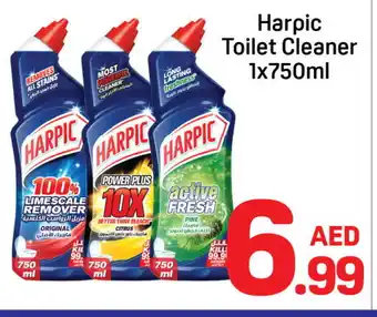 Day To Day HARPIC Toilet / Drain Cleaner offer