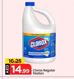 Mark & Save CLOROX Bleach offer