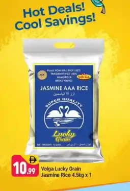 Shaklan VOLGA Jasmine Rice offer