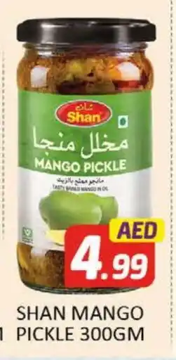 Al Madina SHAN Pickle offer