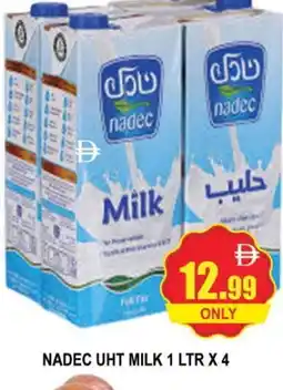 Al Madina NADEC Long Life / UHT Milk offer