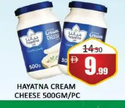 Al Madina HAYATNA Cream Cheese offer