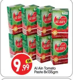 Bigmart AL AIN Tomato Paste offer