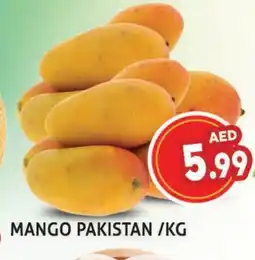 Palm Centre Mango Mango offer