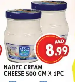 Palm Centre NADEC Cream Cheese offer
