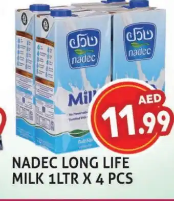 Palm Centre NADEC Long Life / UHT Milk offer