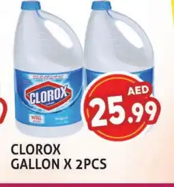 Palm Centre CLOROX Bleach offer