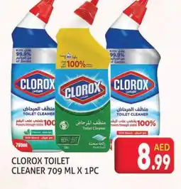 Palm Centre CLOROX Toilet / Drain Cleaner offer