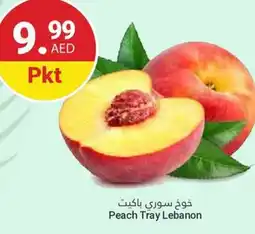 Grand Emirates Market Peach Tray Lebanon offer