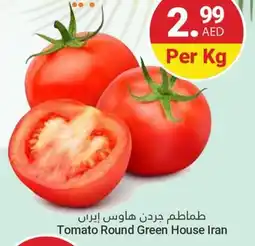 Grand Emirates Market Tomato Round Green House Iran offer