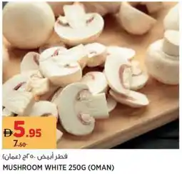 Géant Mushroom White offer