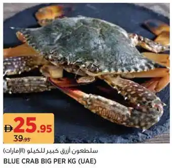 Géant Blue crab big offer