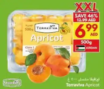 Viva Terraviva Apricot offer