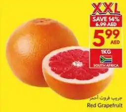 Viva Red Grapefruit offer