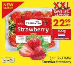 Viva Terraviva Strawberry offer