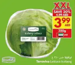 Viva Terraviva Lettuce Iceberg offer