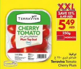 Viva Terraviva Tomato Cherry Plum offer