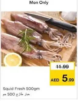 Nesto Squid Fresh offer