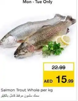 Nesto Salmon Trout Whole offer