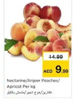 Nesto Nectarine/Anjeer Peaches/ Apricot offer