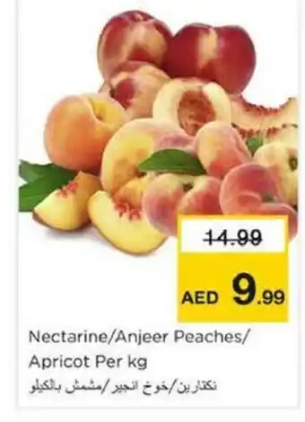 Nesto Nectarine/Anjeer Peaches/ Apricot offer