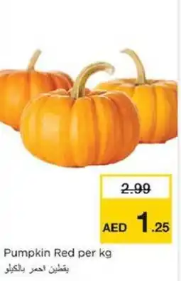 Nesto Pumpkin Red offer
