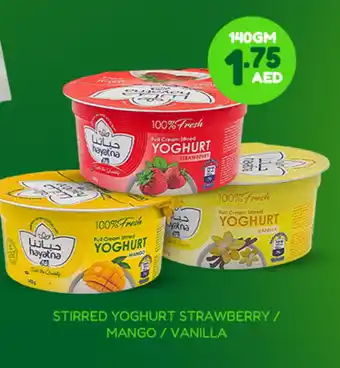 Adil Supermarket HAYATNA Yoghurt offer