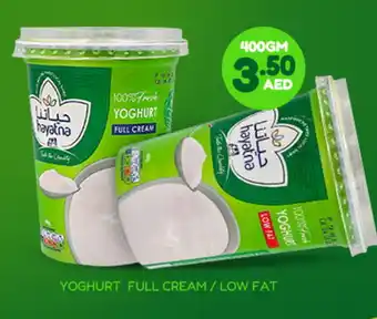 Adil Supermarket HAYATNA Yoghurt offer