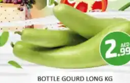 Al Madina Hypermarket Bottle gourd long offer