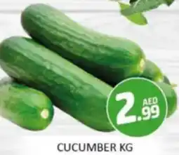 Al Madina Hypermarket Cucumber offer