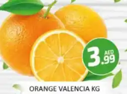 Al Madina Hypermarket Orange offer