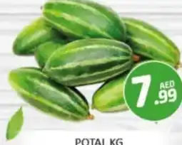 Al Madina Hypermarket Potal offer