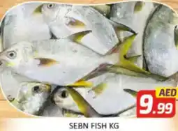 Al Madina Hypermarket Sebn fish offer