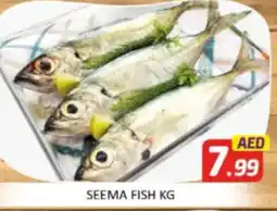 Al Madina Hypermarket Seema fish offer