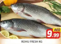 Al Madina Hypermarket Rohu fresh offer