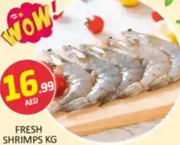 Al Madina Hypermarket Fresh shrimps offer