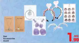 Day To Day Hair Accessories Asstd offer