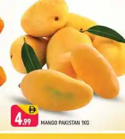 Shaklan Mango Mango offer