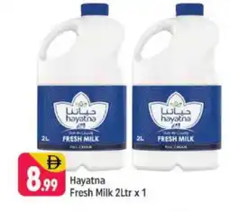 Shaklan HAYATNA Fresh Milk offer