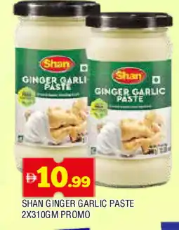 Al Madina SHAN Garlic Paste offer