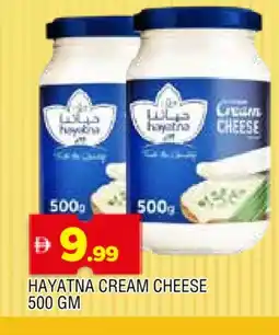Al Madina HAYATNA Cream Cheese offer
