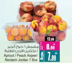 Ansar Mall Apricot / Peach Anjeer / Nectarin Jordan offer