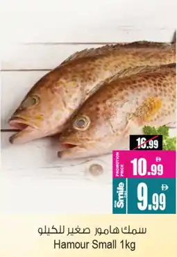 Ansar Mall Hamour Small offer