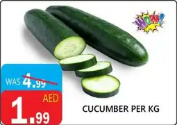 United Hypermarket Cucumber offer