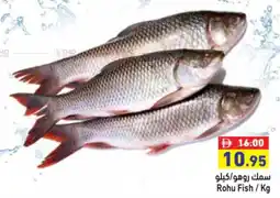 Aswaq Ramez Rohu Fish offer