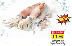 Aswaq Ramez Squid Small offer