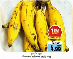 Sajidha Supermarket Banana Yellow offer